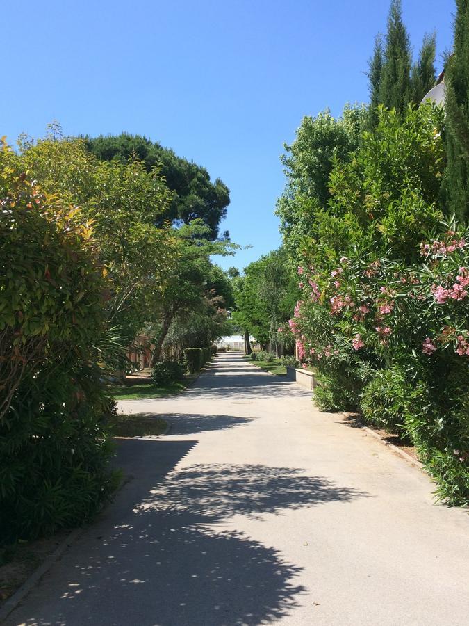 L'Hotel Du Mediterranee Аржеле-сюр-Мер Екстериор снимка